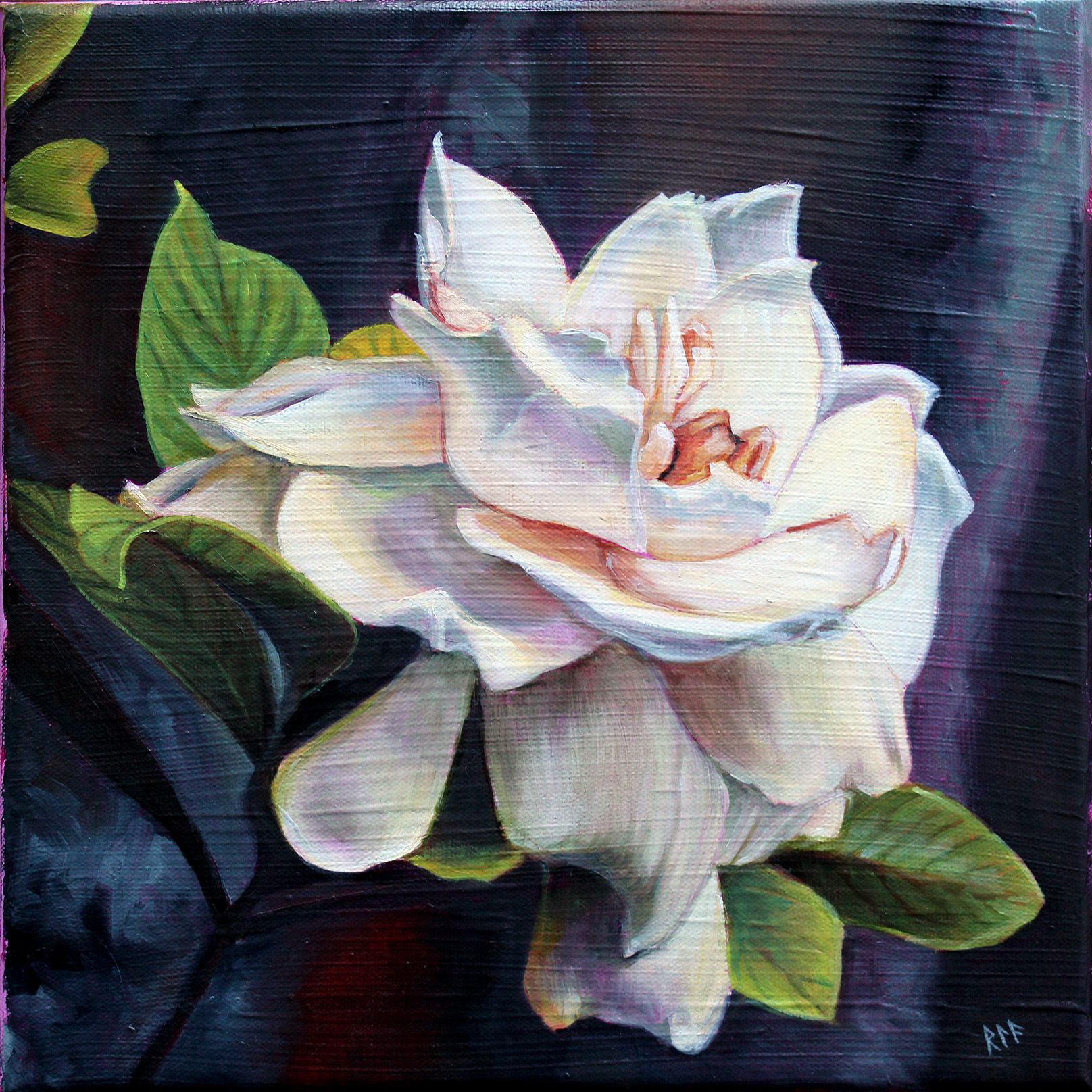 Gardenia Small